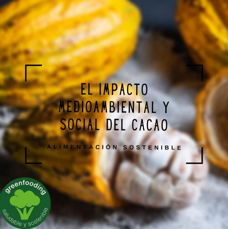 El Impacto Medioambiental Y Social Del Cacao - Greenfooding | Dietista ...